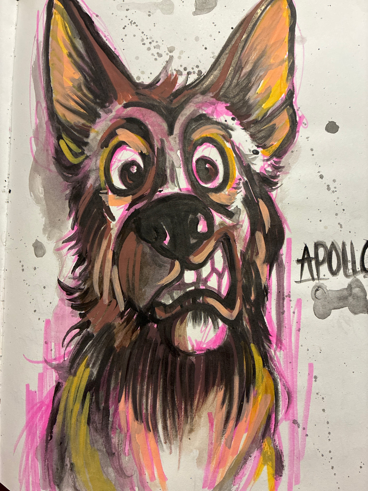 Portraits of pets